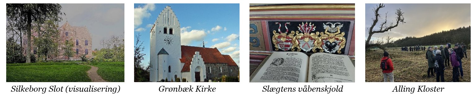 silkeborgtur frise
